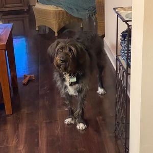 Meet your Posher, Grant